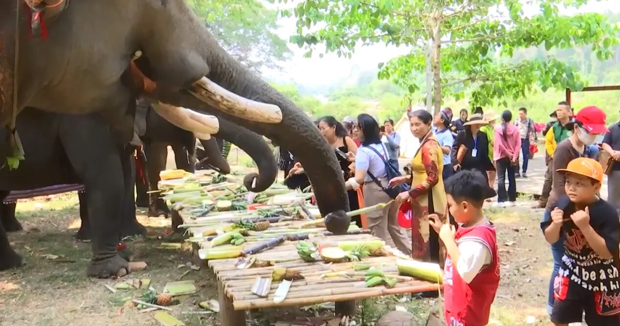 Capture the ethical charm of Dak Lak’s eco-tourism